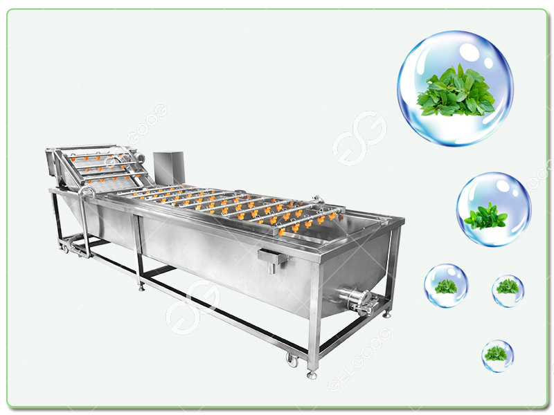 Leafy Vegetable Washing Machine Plant Manufacturer Price