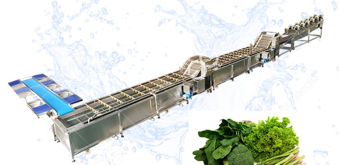 What Is The Proper Way Of Washing The Vegetables For Large Batches Of Vegetable?