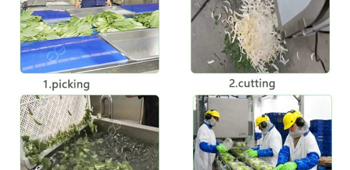 Do Vegetable Washers Work For Salad Processing?
