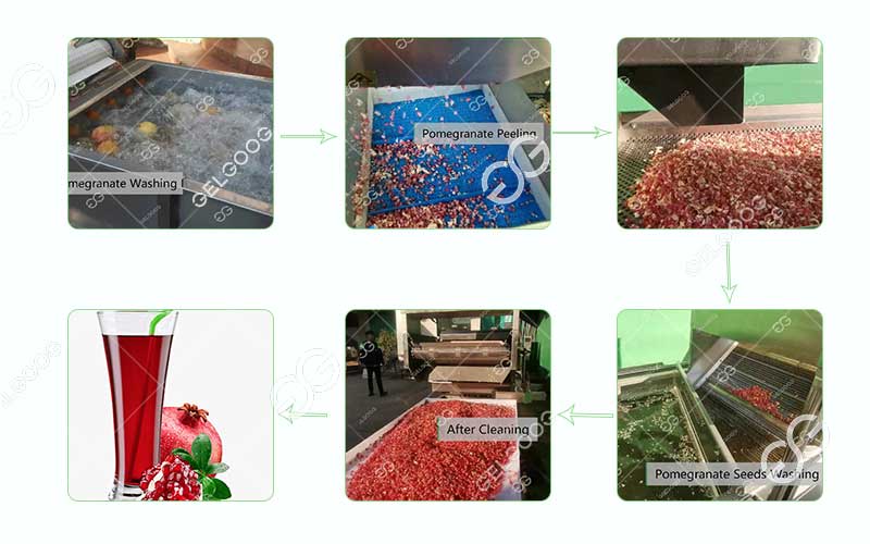 Pomegranate juice production line