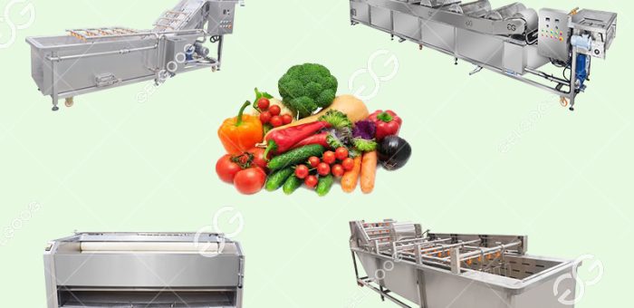 What Is Primary Vegetable Processing In Plant?