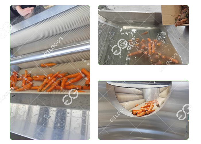 carrot washing machine