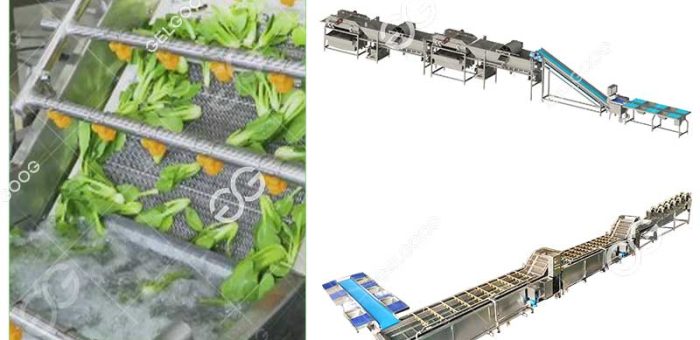 What Technology Is The Importance Of Vegetable Processing?