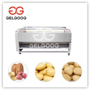 potato washing and peeling machine