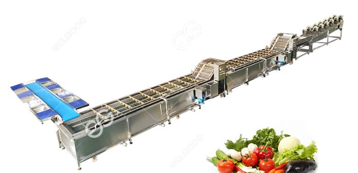How Do You Preserve Green Leafy Vegetables For Sale?