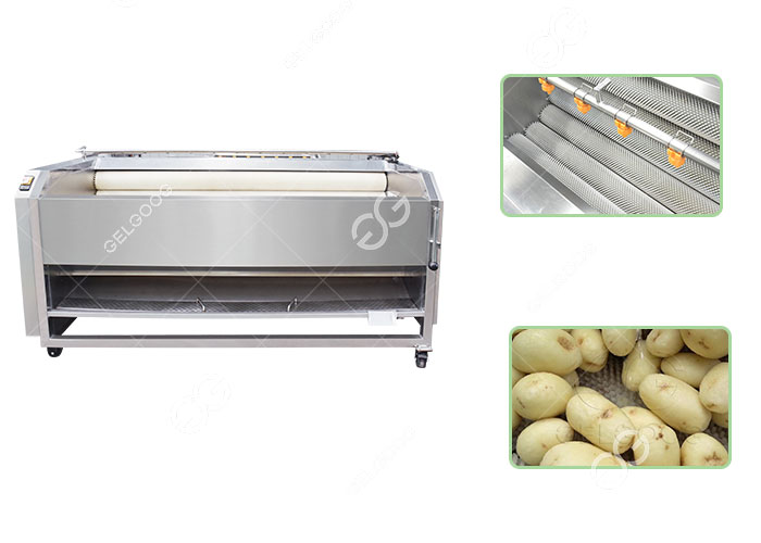 Brush potato washing and peeling machine - Potato chips machine