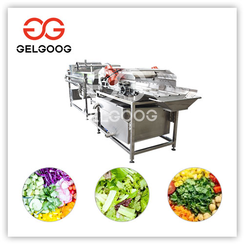 salad-vegetable-washing-machine