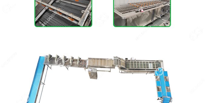 How To Process Leafy Vegetable Use Vegetable Procesasing Line?