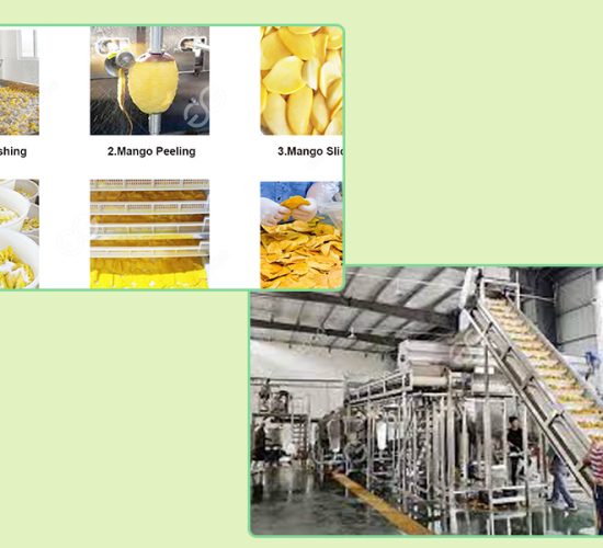 Analysis Of Small Scale Mango Processing Plant Cost