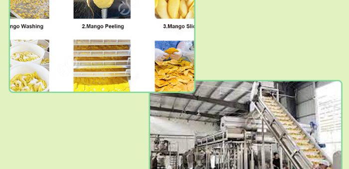Analysis Of Small Scale Mango Processing Plant Cost