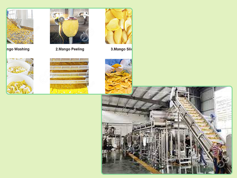 analysis-of-small-scale-mango-processing-plant-cost