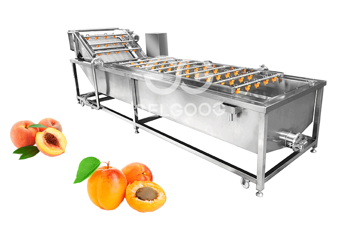 apricot-cleaning-machine