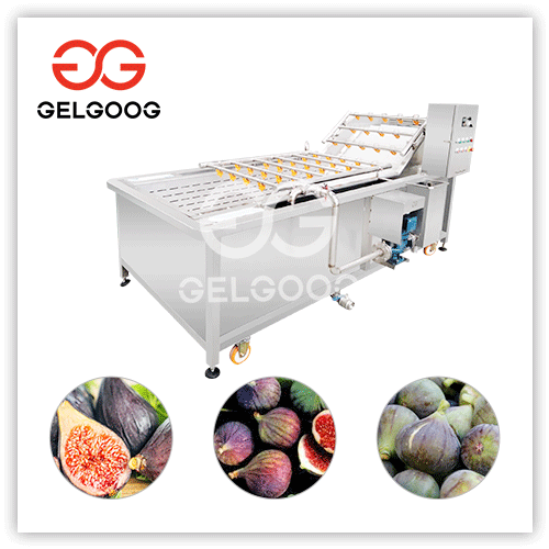 fig-cleaning-machine