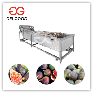 fig-washing-machine