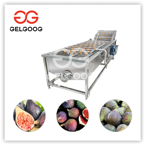 fig-washer