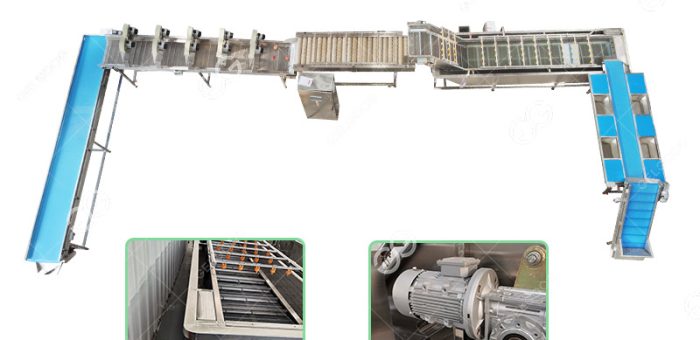 How To Use The Fruit And Vegetable Processing Line?