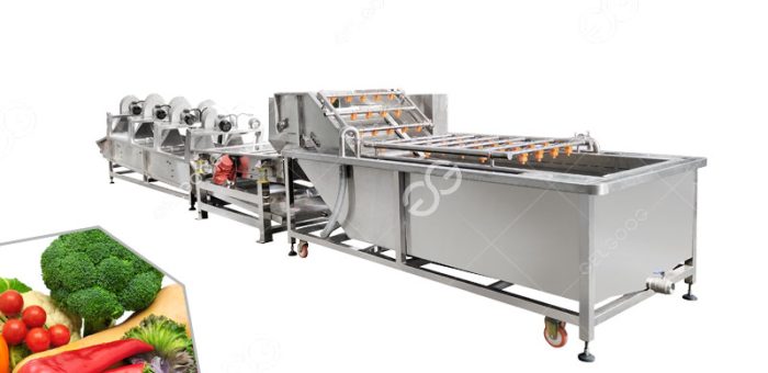 What Equipment Is Included In The Leaf Vegetable Processing Lines?