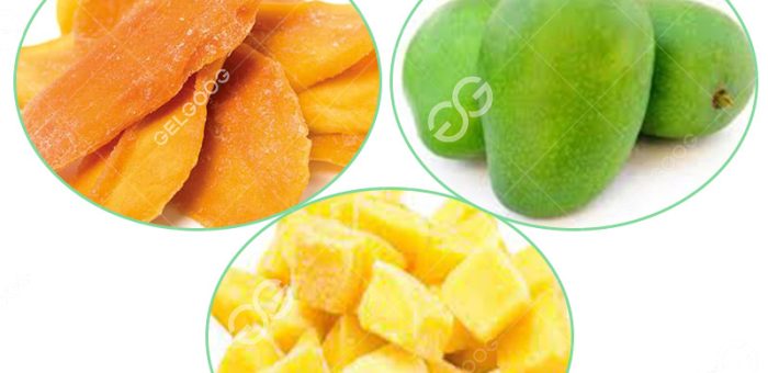 What Is The Method Of Preservation Of Mango In Mango Factory?