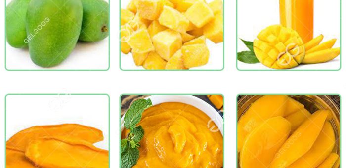 How Are Mangoes Processed In Mango Processing Plant?