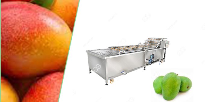 Should Mangos Be Washed Before Processing?