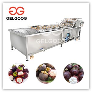 mangosteen-washing-machine-price