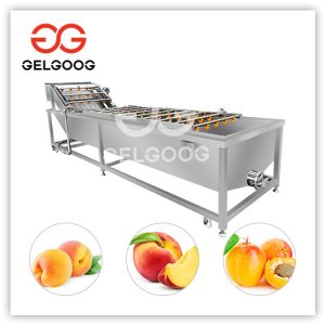 peach-washing-equipment