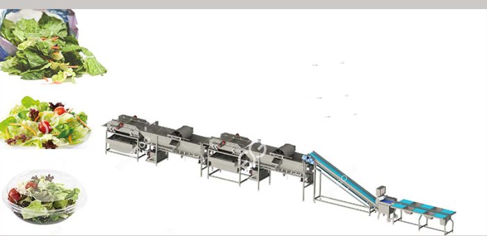What Are The Uses Of Industrial Salad Washing Processing Equipment?