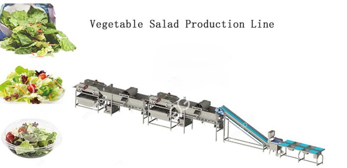 What Equipment Do You Need To Start A Salad Processing Plant?