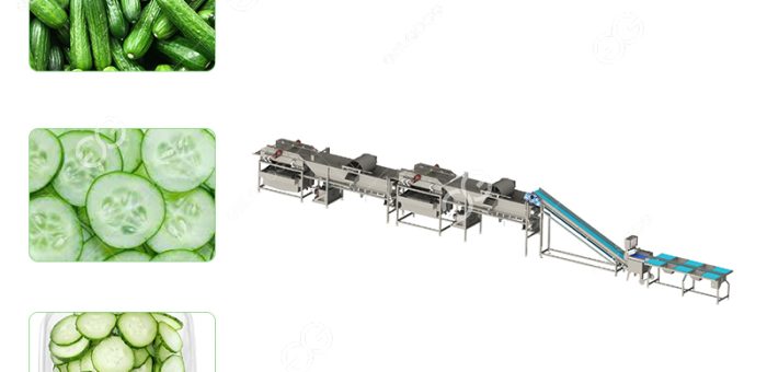 What Is Cucumber Salad Made With At The Salad Processing Factory?