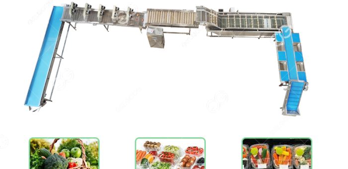 Is Vegetable Processing Business Profitable?