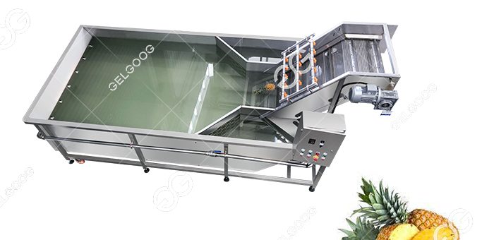 Pineapple Washing Equipment Exported To Mexico