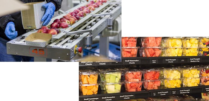 How To Start Fresh-Cut Fruits Business Plan