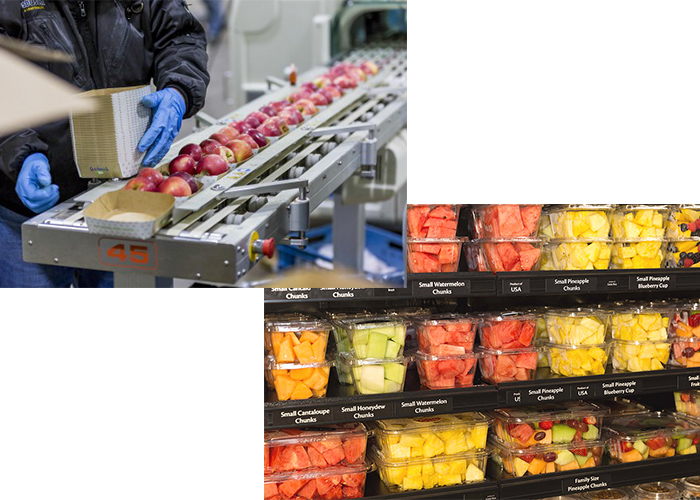 How To Start FreshCut Fruits Business Plan