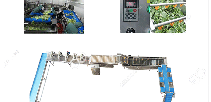 What Is Fruit And Vegetable Processing Industry?