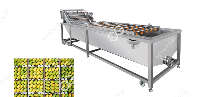 How Much Mango Washing Machine Cost?