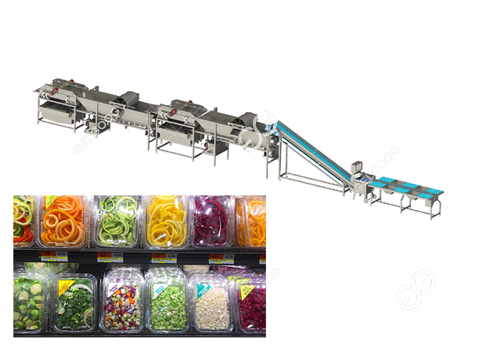 How To Start A Pre Cut Vegetables Business