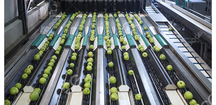 Create A Vegetable Processing Plant Cost