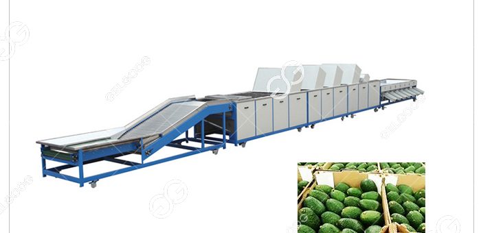 What Does A Fruit Avocado Sorting Machine Do?