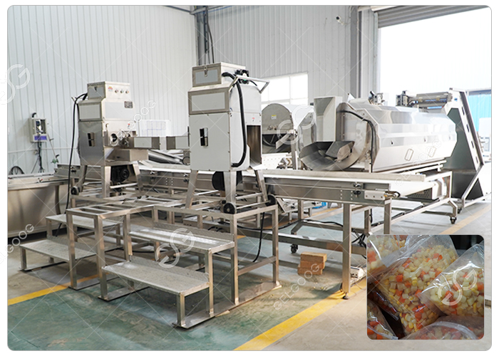 How To Start A Chopped Vegetable Business?