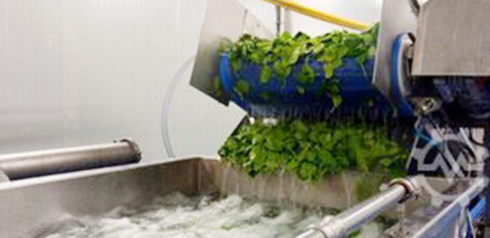 Importance Of Processing Of Fruits And Vegetables