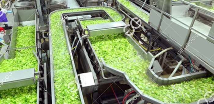 What Is The Most Practical Way Of Processing Fruits And Vegetables?