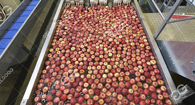 What Are The Types Of Fruit Processing Plant Industry?