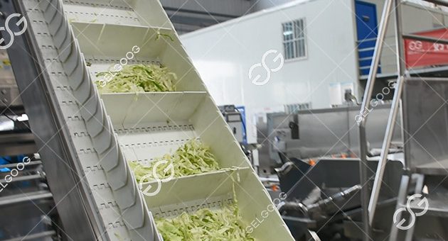 How Is Lettuce Processed In A Factory