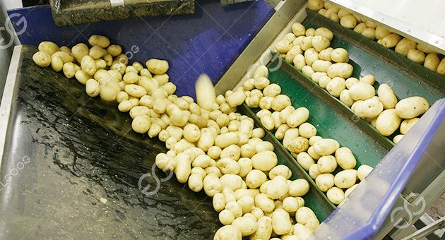 What Are The Methods Of Potato Processing?