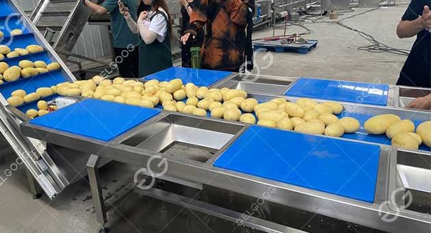 How To Start A Fresh Cut Potato Processing Business
