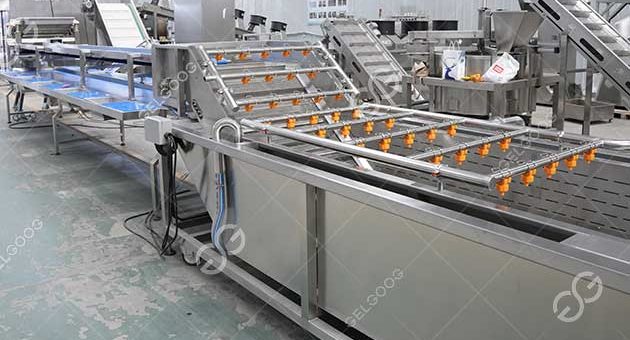 What Is A Industrial Fruit Washing Line