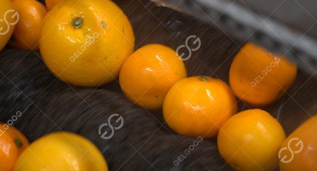 What Are The Benefits Of Fruit Wax?