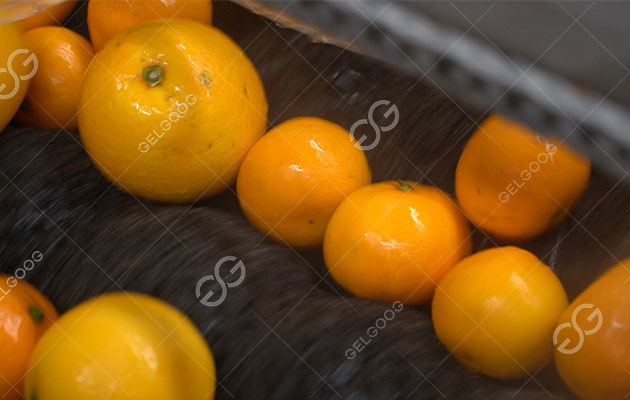 What Are The Benefits Of Fruit Wax?