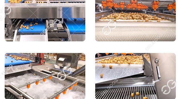 How Do You Wash a Lot of Potatoes?The Potato Washing Line