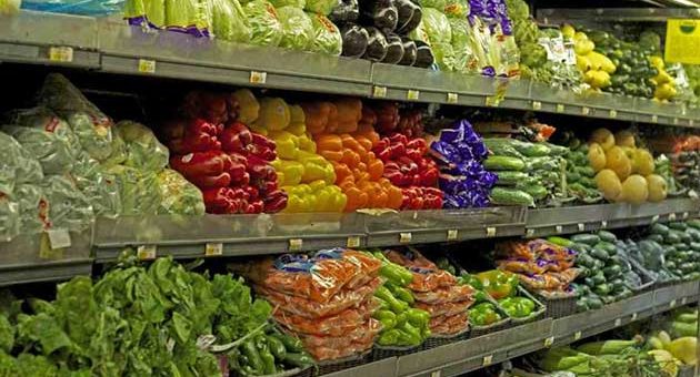 Is Vegetable Trading Profitable?